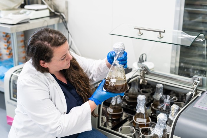 Tegan Nock works in a lab. She co-founded Loam Bio in 2019 and is trialling a microbial fungi that when applied to soil might improve its health and greatly enhance its ability to store carbon 