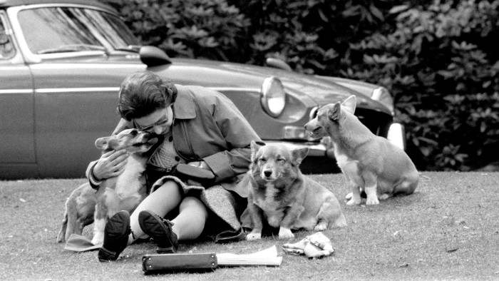 1973: The Queen with her corgis at Virginia Water, near Windsor Castle