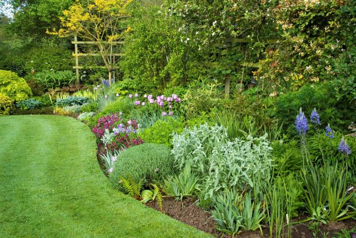 How to spring clean your garden | Financial Times