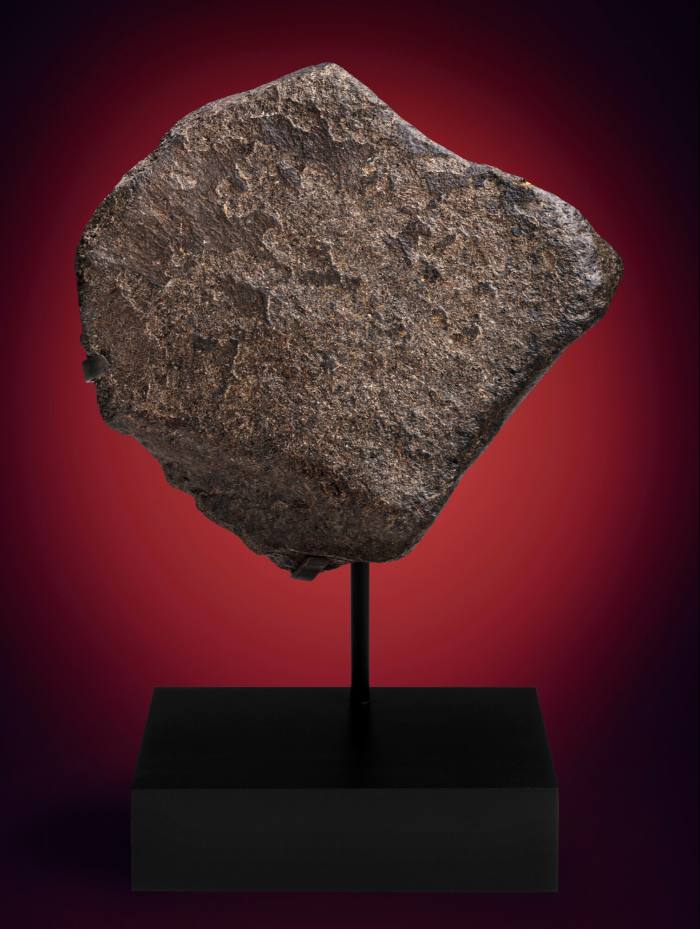The third largest piece of Mars on Earth (estimate between $500,000 and $800,000)