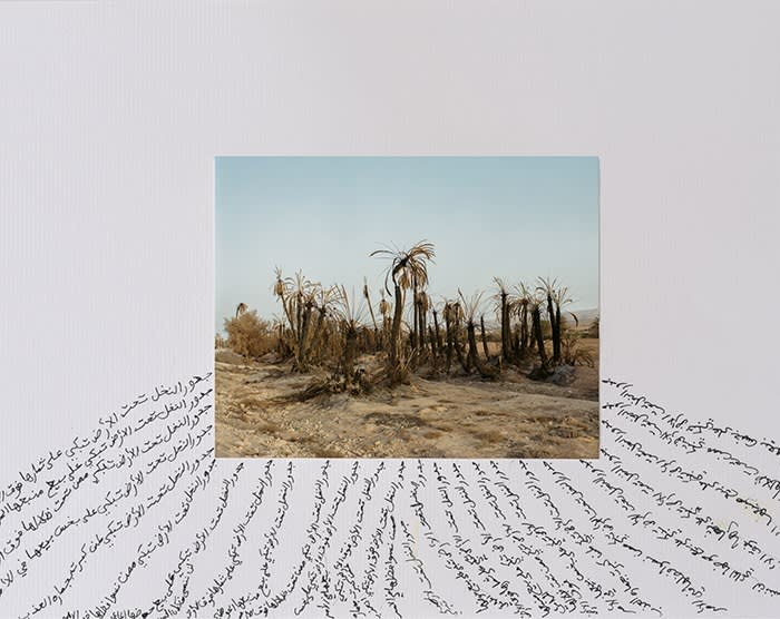 A landscape shot of Tighmert Oasis with excess white space, calligraphic Arabic text spills out from the picture 