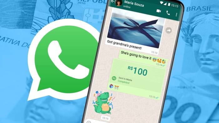 Una captura de pantalla del sistema de pagos lanzado por WhatsApp en Brasil