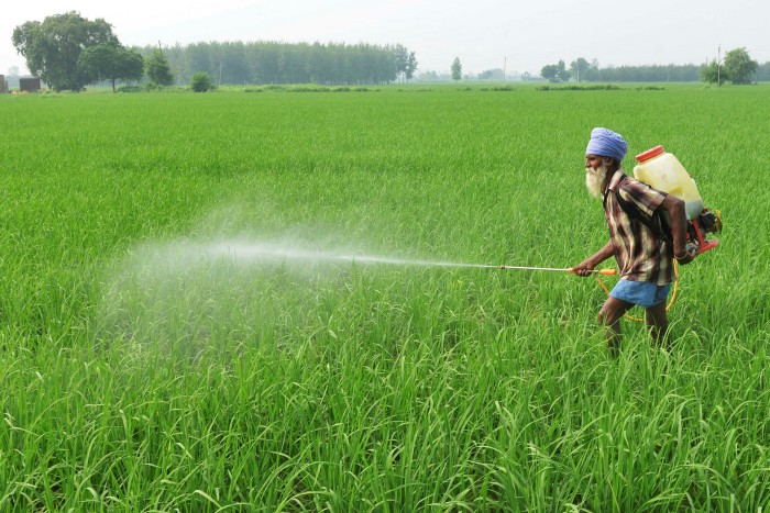 An Indian farmer sprays crops with insecticide