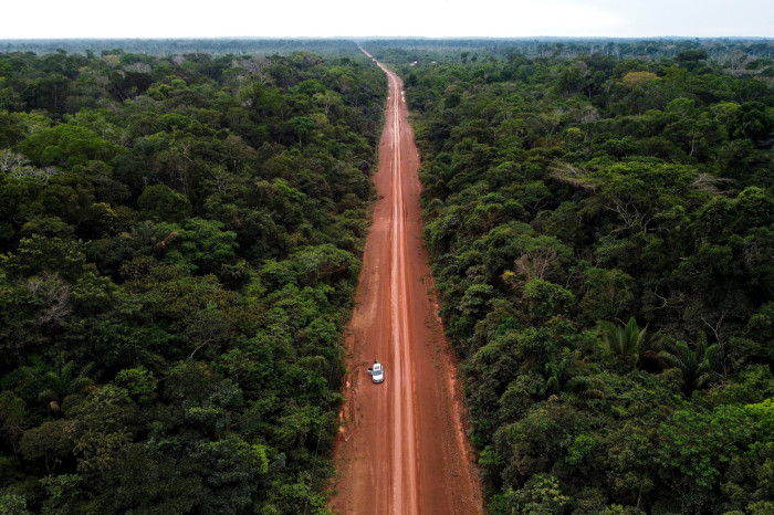 A preserved Amazonia rainforest area known as Transamazonica, crossing the indigenous community Aldeia Tenharin Marmelo, between the cities of Manicore and Humaita, Amazonas state