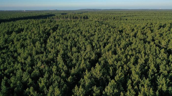 An aerial view of a lush forest with a blue sky in the horizon