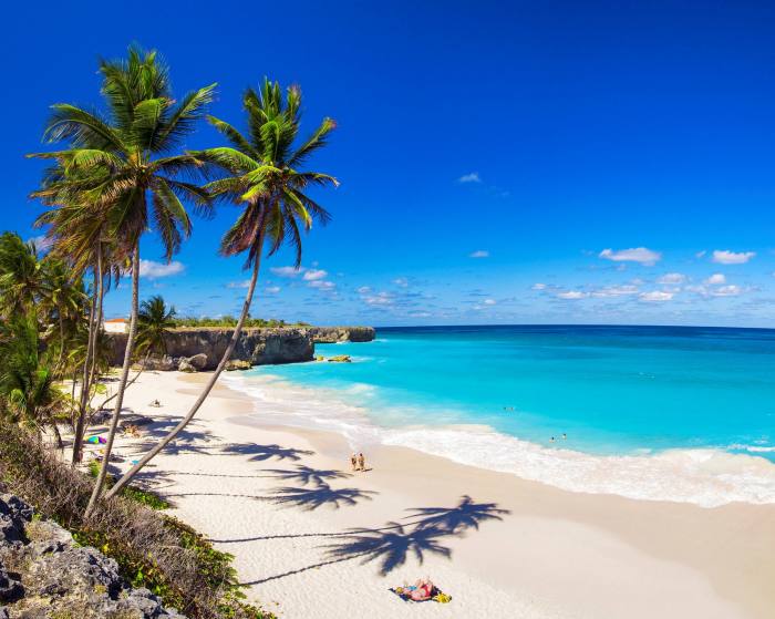 How Barbados became a workplace in the sun | Financial Times