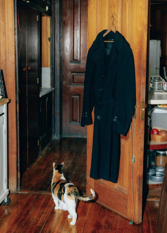 Wellington cross calico cat and trench coat