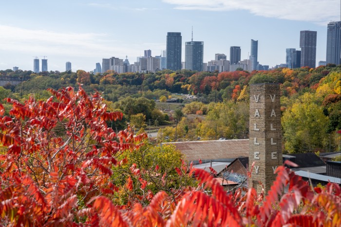 A view of the Toronto skyline, with the chimney of a former factory and autumn leaves in the foreground, in the city’s Brick Works parkland