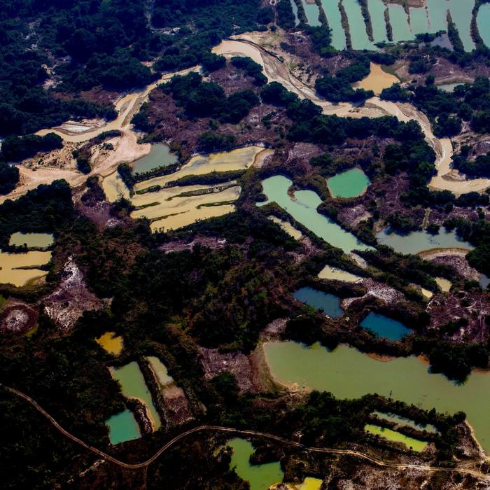 The Esperanca IV informal gold mining camp, near the Menkragnoti indigenous territory, in Altamira, Pará, last year