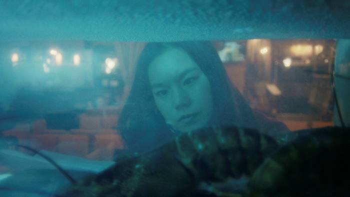 A woman’s face seen through a lobster tank