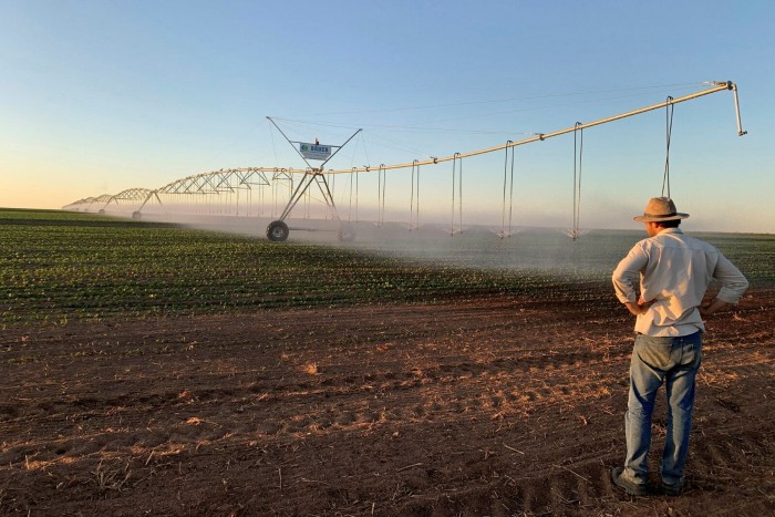 Sprinklers irrigate crops in Brazil’s Cerrado region, which covers almost a quarter of the country’s territory and is one of the world’s breadbaskets