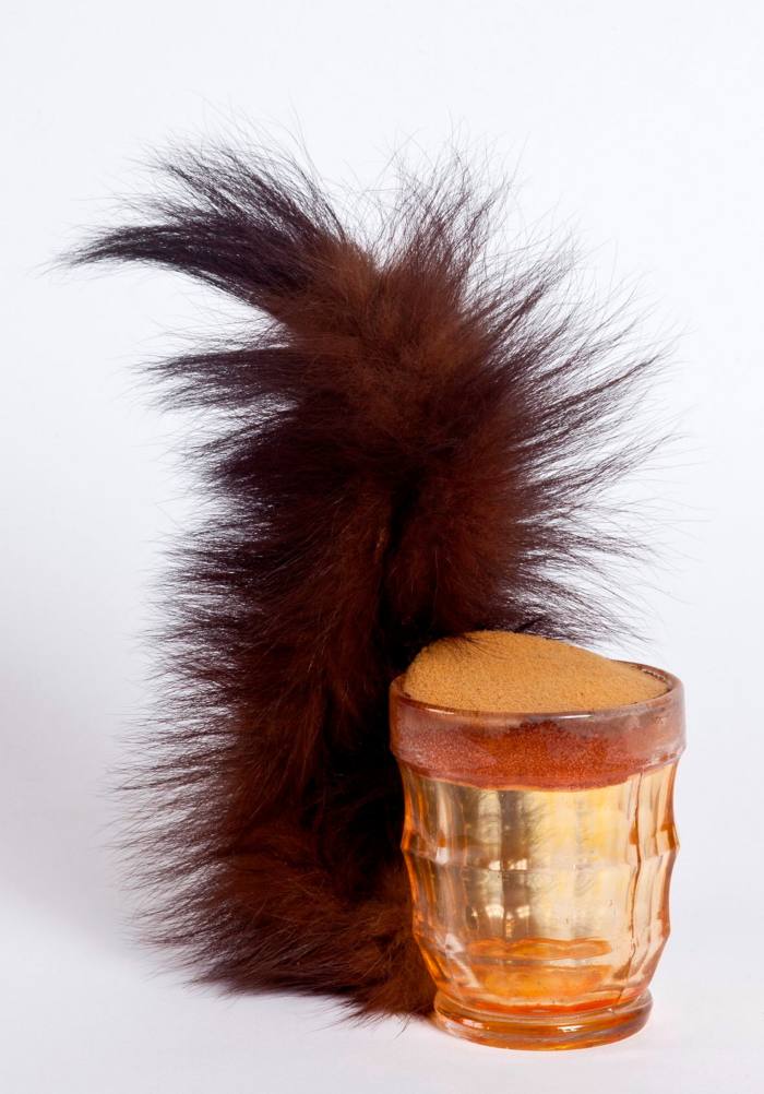 A traditional glass beer mug has a squirrel tail as a handle 