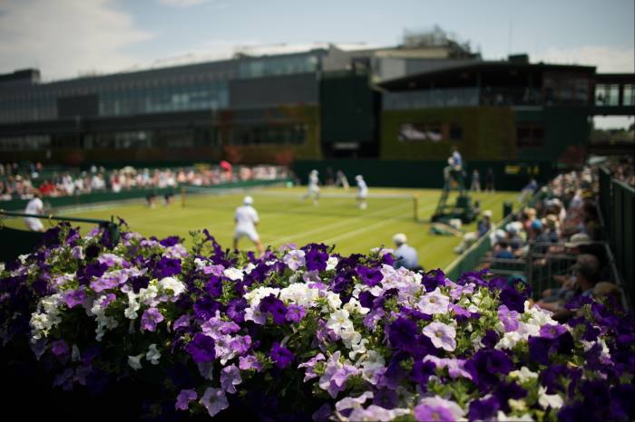 People playing tennis with purple and white petunias in the foreground