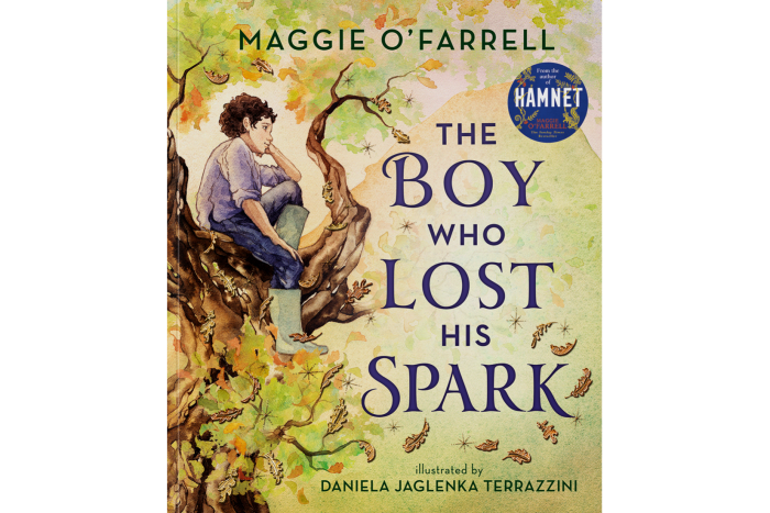 The Boy Who Lost His Spark by Maggie O'Farrell and Daniela Jaglenka Terrazzini (Walker Books, £14.99)