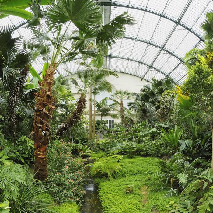 ‘One of my favourite pieces of architecture in the world’: the garden’s Palm House