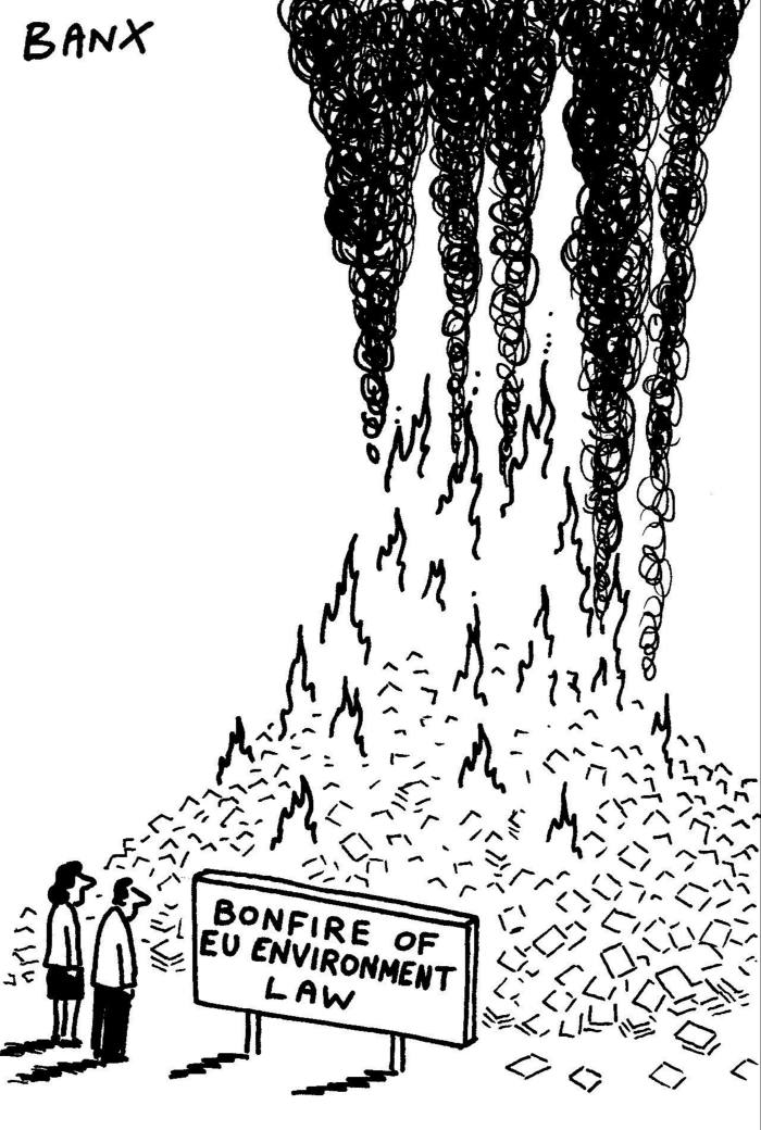 A cartoon showing a bonfire of books, or EU environment law, in front of two onlookers 