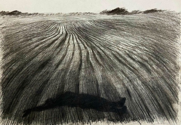 Charcoal drawing of a wavy lines receding into the distance constituting a field, with the dark shadow of a man lying in it