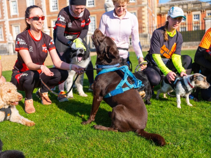 Four female runners with their dogs kneeling in a circle around a brown labrador, in front of Wimpole Hall