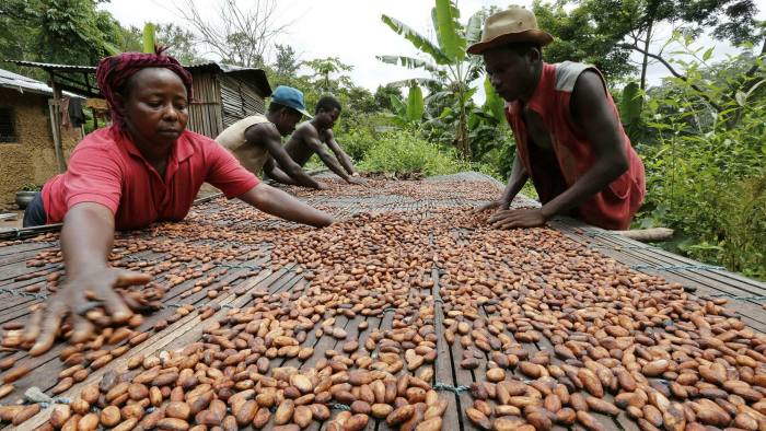 Africa's cocoa farmers and Big Chocolate clash over poverty fighting  measures | Financial Times