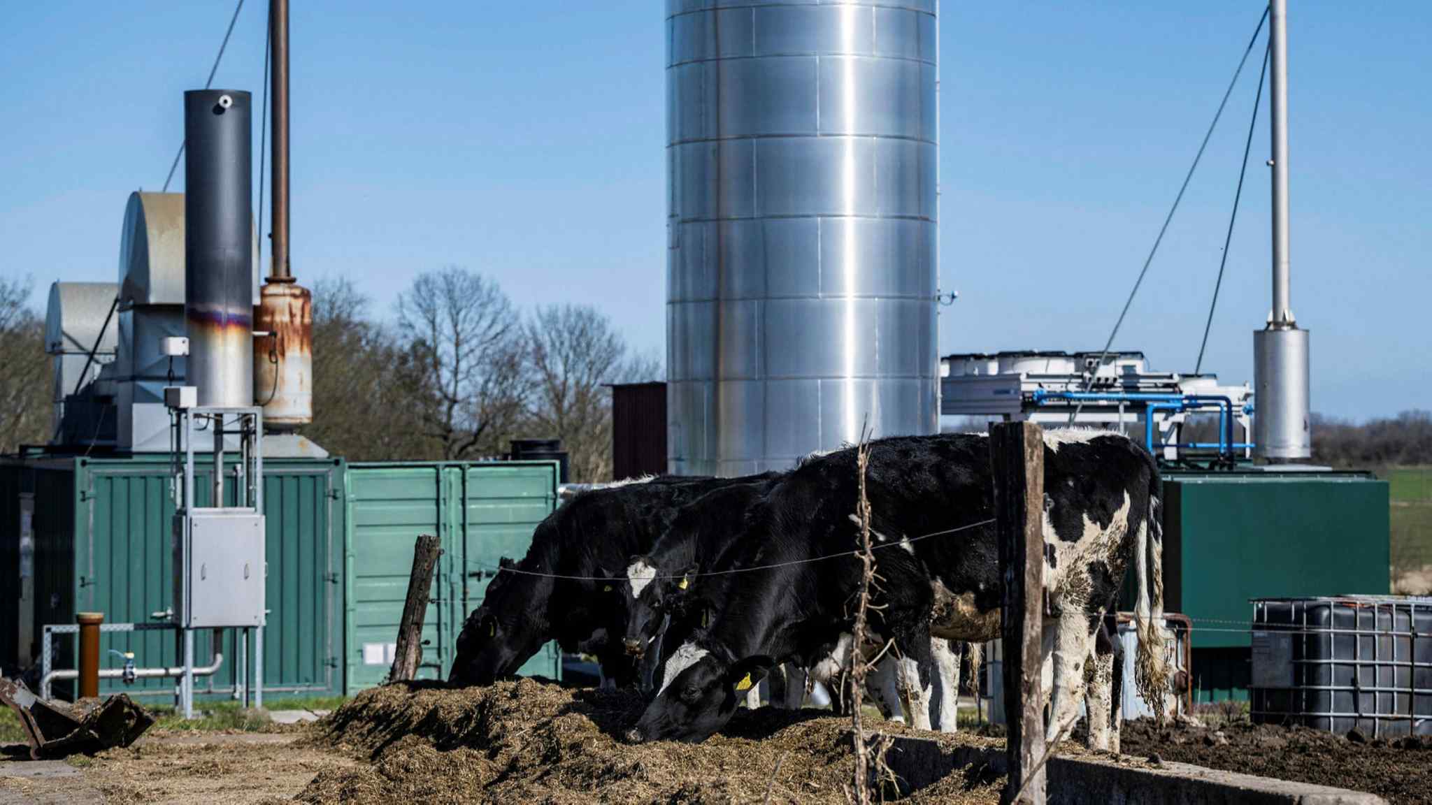 Europe’s biggest biogas producer warns EU targets unachievable