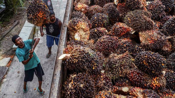 Palm oil price