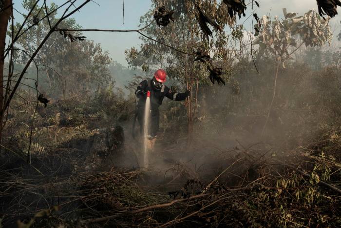 A fireman tackles a peatland fire in the Indonesian province of Riau last year
