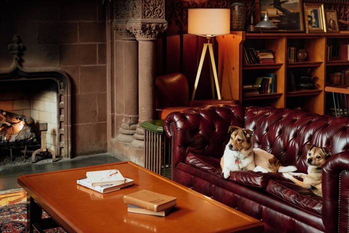 Patti Waldmeir’s dogs at the Chicago Athletic Association Hotel