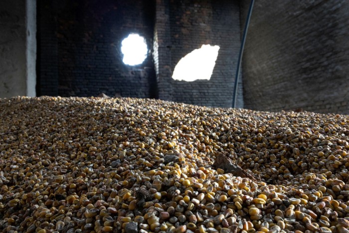 Corn lies in a grain warehouse damaged by Russian tanks in Cherkaska Lozova, Ukraine