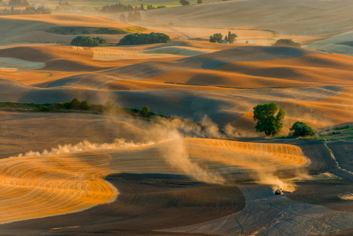 Picture of golden rolling landscape of cultivated fields with a tractor plowing and kicking up a long trail of dust