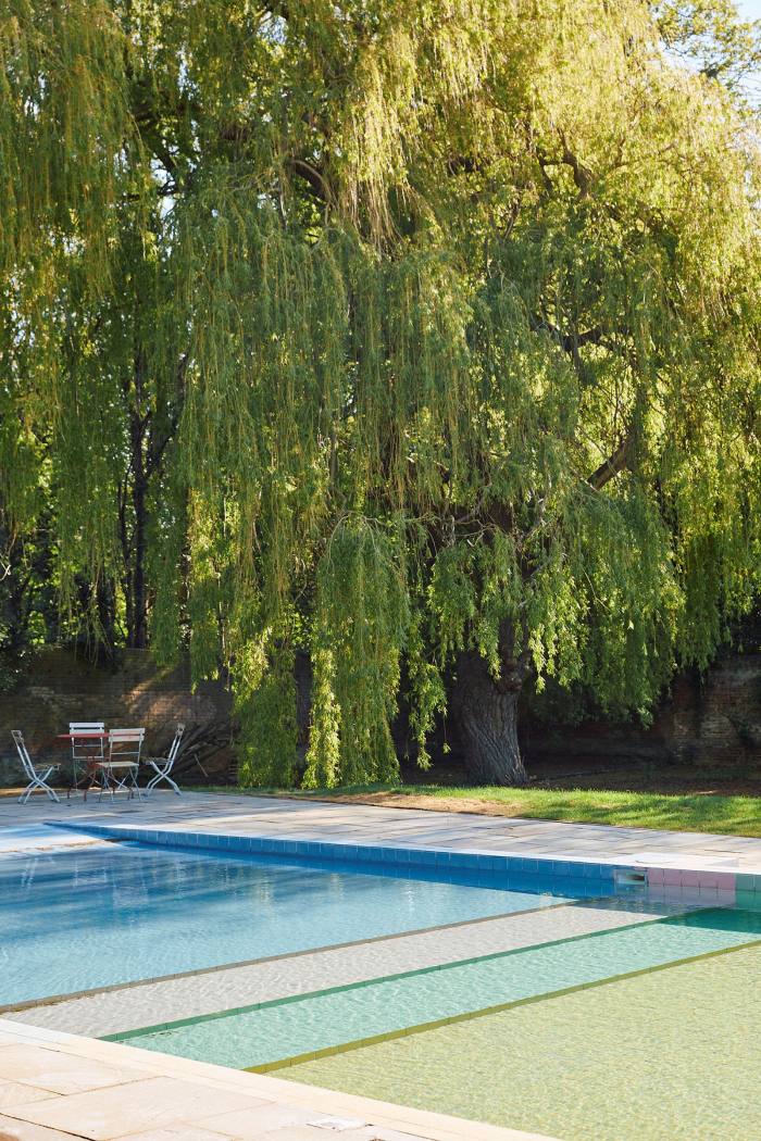 An outdoor swimming pool with overhanging tree