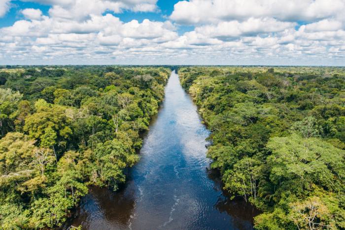 The Peruvian Amazon, which new river-cruiser Aqua Nera will explore from October