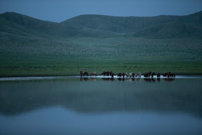 A herd of horses at a lake beside Zorgol Khairkhan