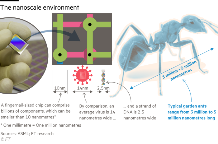Diagram giving an idea of the scale of nanometre-sized objects on a silicon chip by comparing them with a virus, a strand of DNA and a garden ant 
