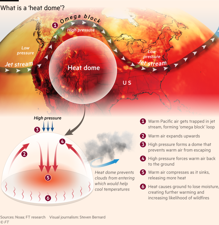 Graphic explaining how a heat dome works  Warm Pacific air gets trapped in jet stream, forming ‘omega block’ loop. Warm air expands upwards. High pressure forms a dome that prevents warm air from escaping. High pressure forces warm air back to the ground. Warm air compresses as it sinks, releasing more heat. Heat causes ground to lose moisture, creating further warming and increasing likelihood of wildfires. 