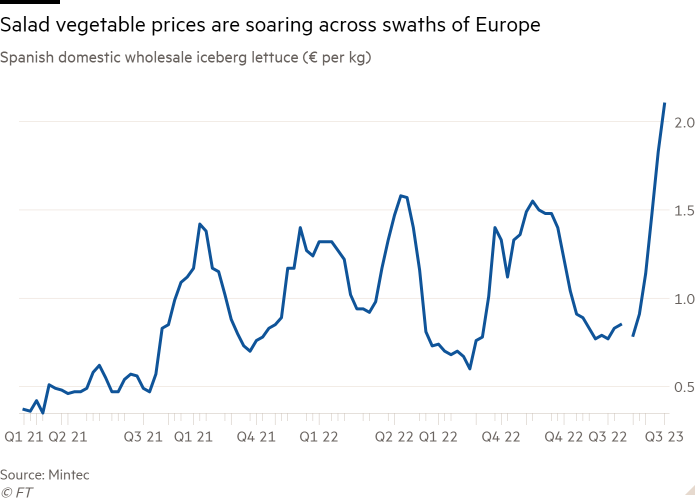 Gráfico de líneas del comercio al por mayor de lechuga iceberg española (€ por kg) que muestra que los precios de las verduras para ensalada se están disparando en gran parte de Europa