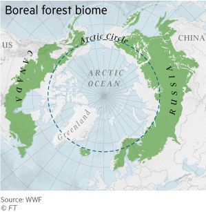 Map showing the boreal forest biome in the Arctic