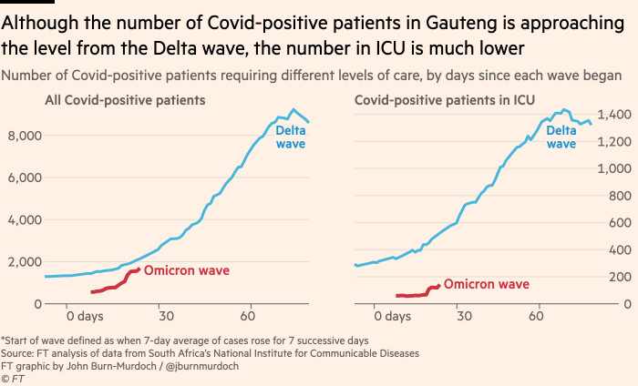 Chart showing that although the number of Covid-positive patients in Gauteng is approaching the level during the Delta wave, the number in ICU is much lower. Total Covid-positive patient numbers are currently at 80% of the level they were at at the same point of the Delta wave, but ICU patient numbers are only 25% of the Delta level at the same stage 