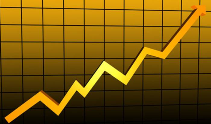 Frenkel Topping sees profit increase in 2014