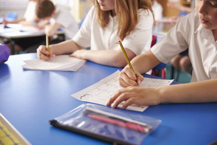 Govt to allow private school teachers to enrol in DC scheme