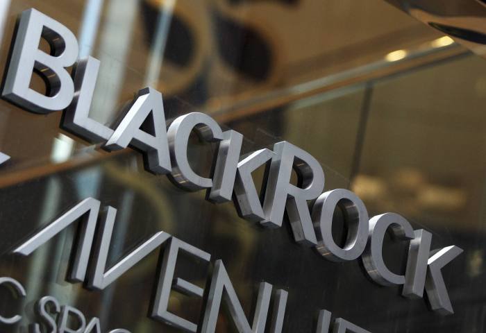 BlackRock Throgmorton trust halves management fee  
