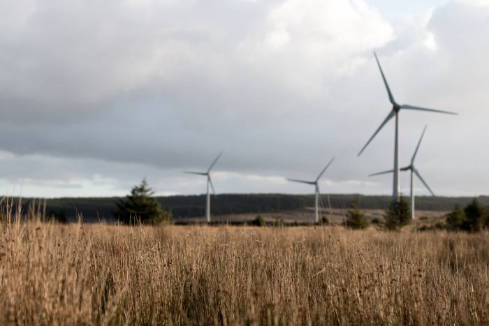 China's mega wind farm set to lure investors