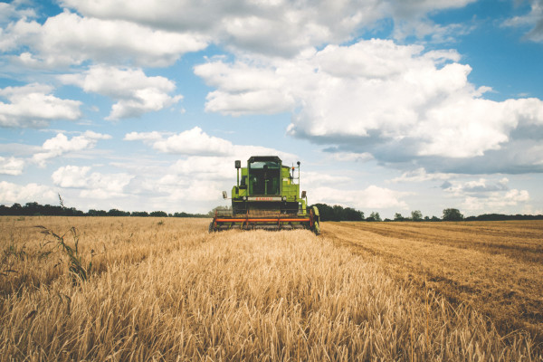 Why do food and agriculture investors have a limited appetite?