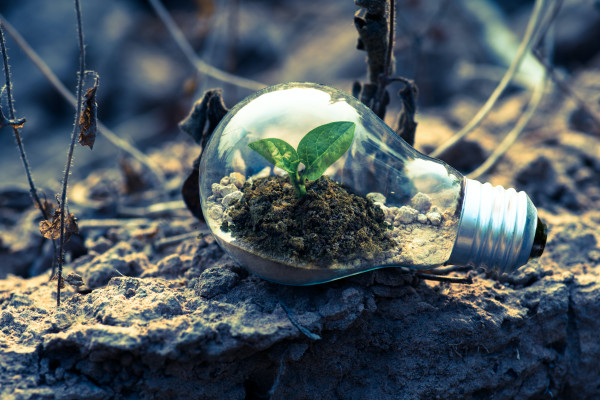 Investors should be patient with underperforming ESG funds