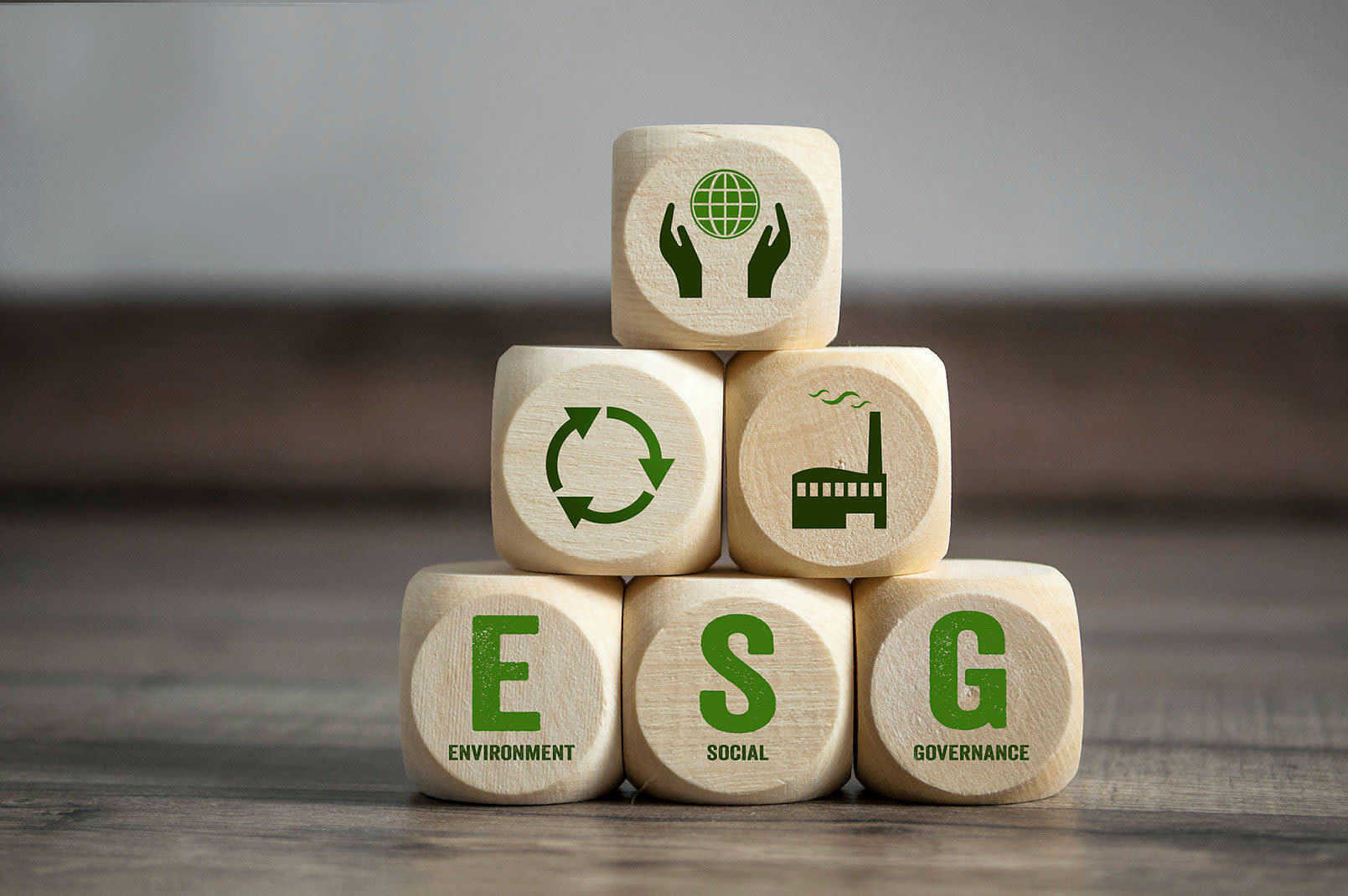 Does ESG have a future? 