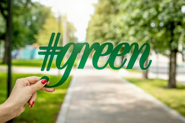 Rules alone will not stop greenwashing, we need education