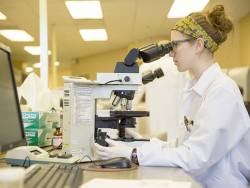 Oxford Biomedica sales up almost two-fifths