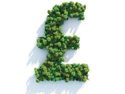 Count the cost of your ethics before diving into NS&I Green Savings Bonds 