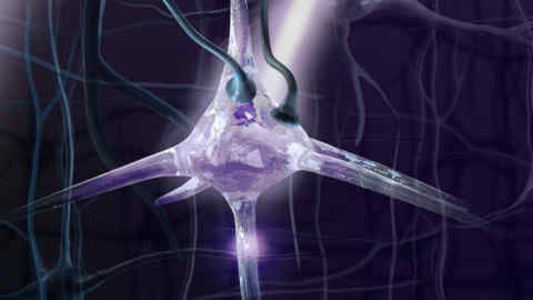 Optogenetics, conceptual artwork. Optogenetics is the integration of optical and genetic systems to control precisely defined events within specific cells of living tissue. The techniques used are precise enough to keep pace with functioning and intact biological systems.