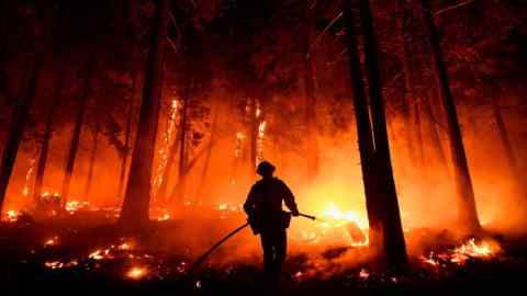 Fireman silhouetted against a forest wildfire in California