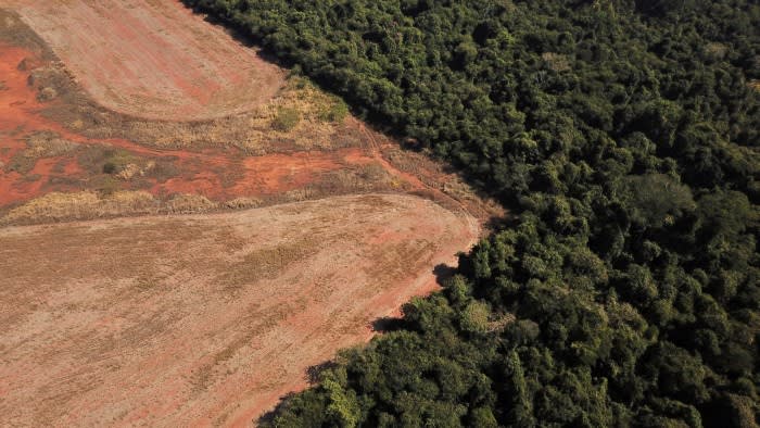 Обезлесяването в екологично чувствителния биом Серадо в Бразилия се е